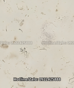 Đá Limestone Crema Santarem